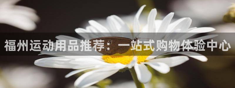 zoty中欧体育官方正版app新能源:福州运动用品推荐:一站