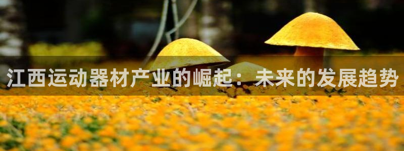 zoty中欧体育官网下载是干嘛的公司:江西运动器材产业的崛起