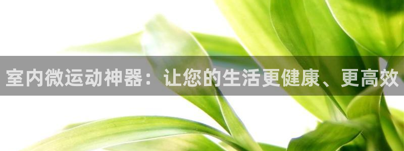 zoty中欧体育官网下载招商电话号码:室内微运动神器:让您的